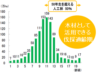 木材として活用できる伐採適齢期のグラフ