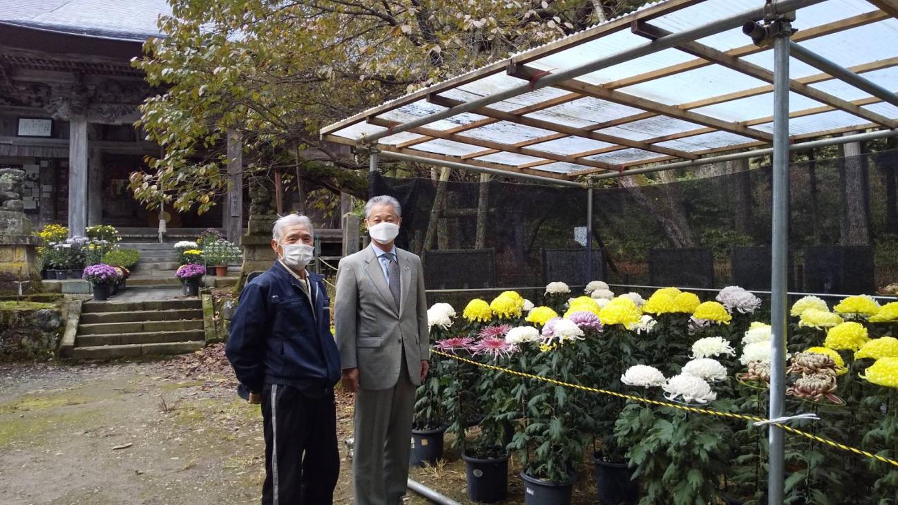 法用寺で行われた菊花展で黄色や白など色鮮やかな菊の花の前で2名の男性が並んで記念撮影をしている写真
