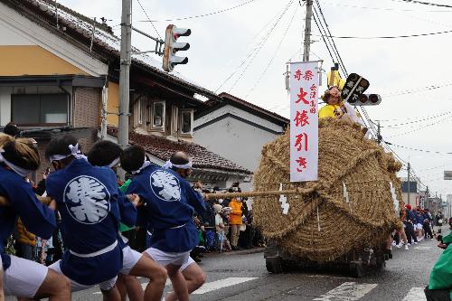 奇祭・高田大俵引き