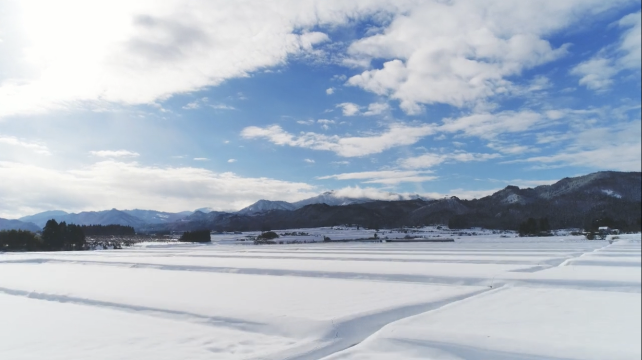 一面に雪が積もっている様子を写した風景写真
