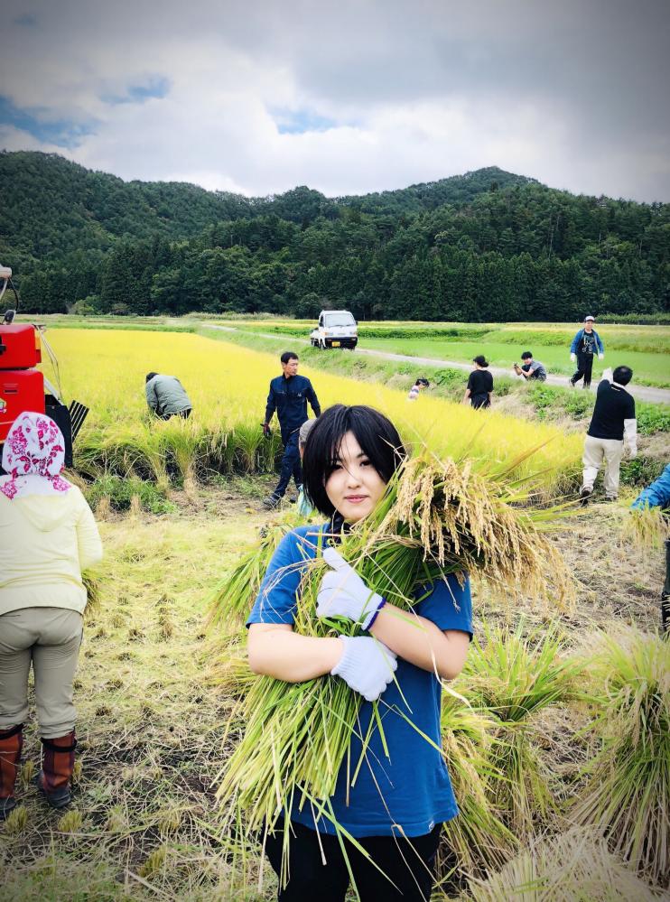 稲を両手で抱えている長谷川さんと、田んぼの中で稲刈りをしている人達を写した写真