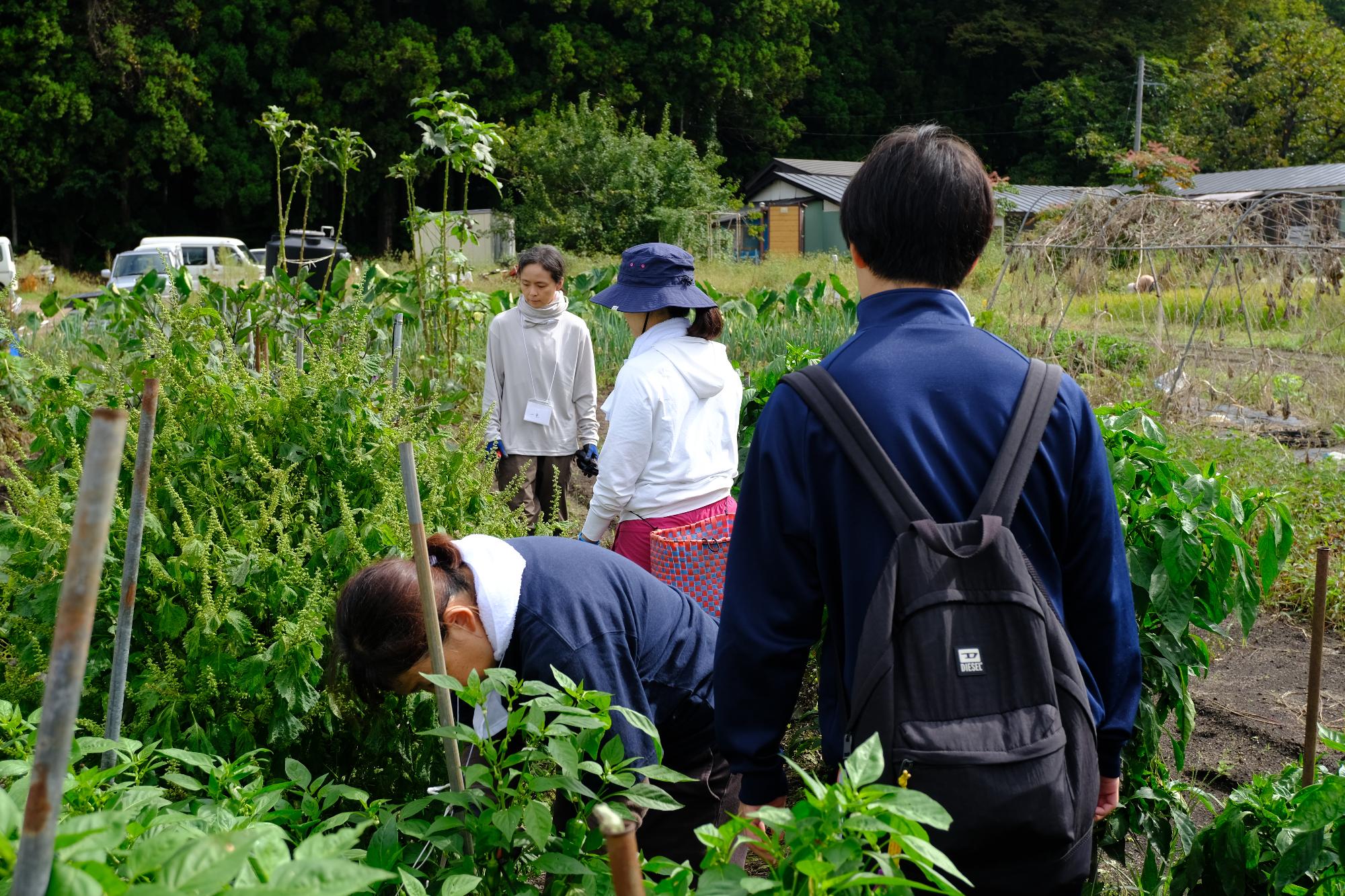 農業ミッションの現場見学