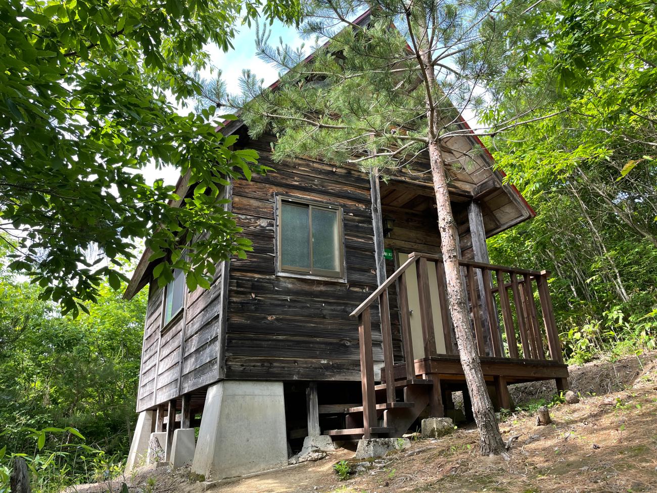 入口付近に松の木があり、斜面に建てられた山小屋（北）の写真