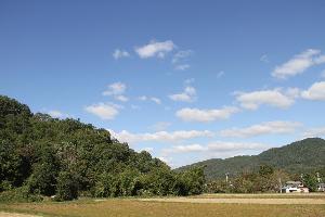 美里町の山