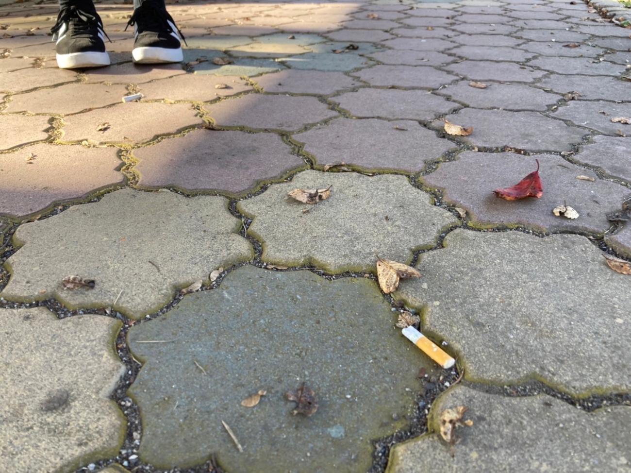 伊佐須美神社の道に落ちているたばこの吸い殻のアップの写真
