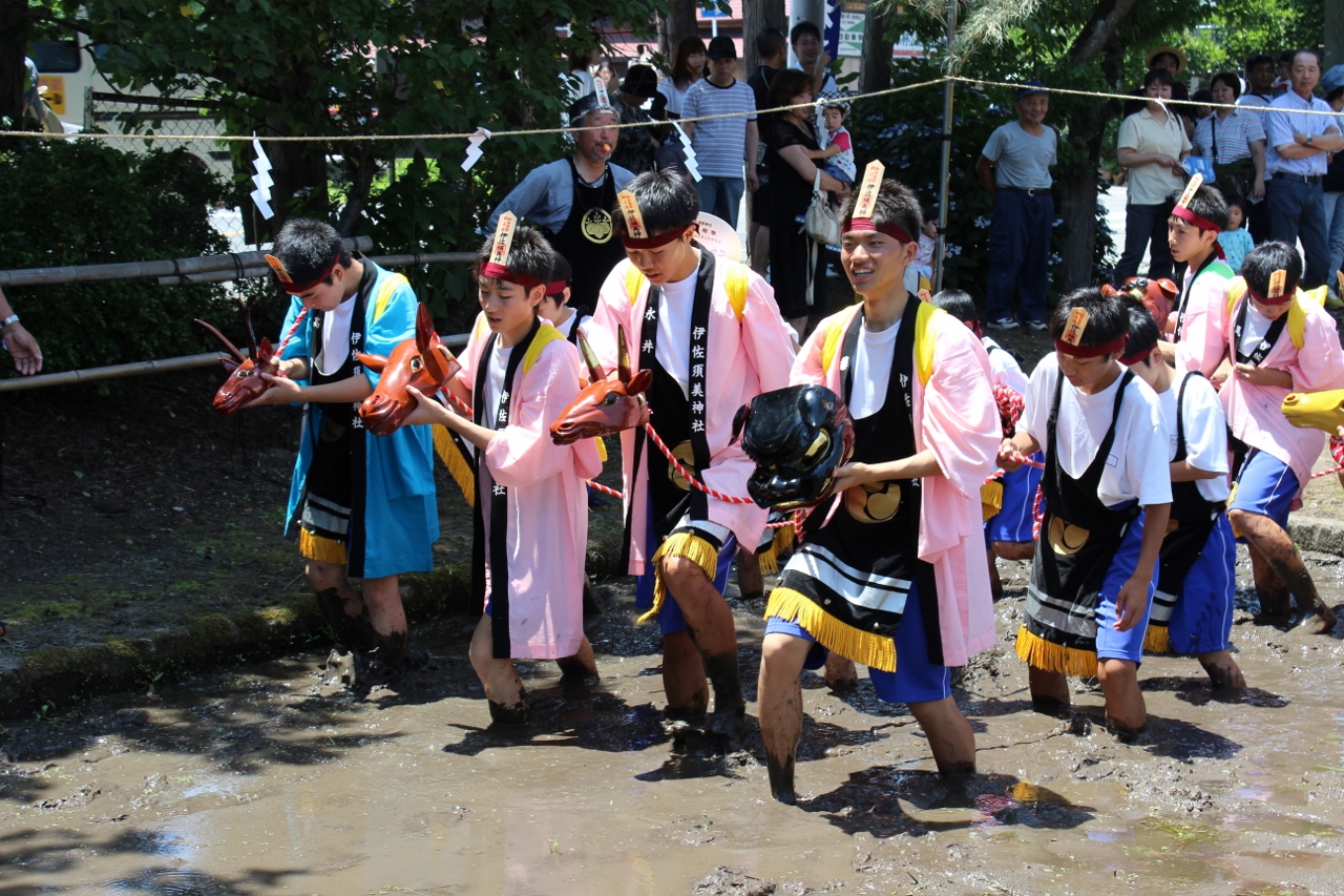 ハッピを着た小中学生が列になり、先頭は獅子頭を持ち泥の中を歩いている獅子追いの写真